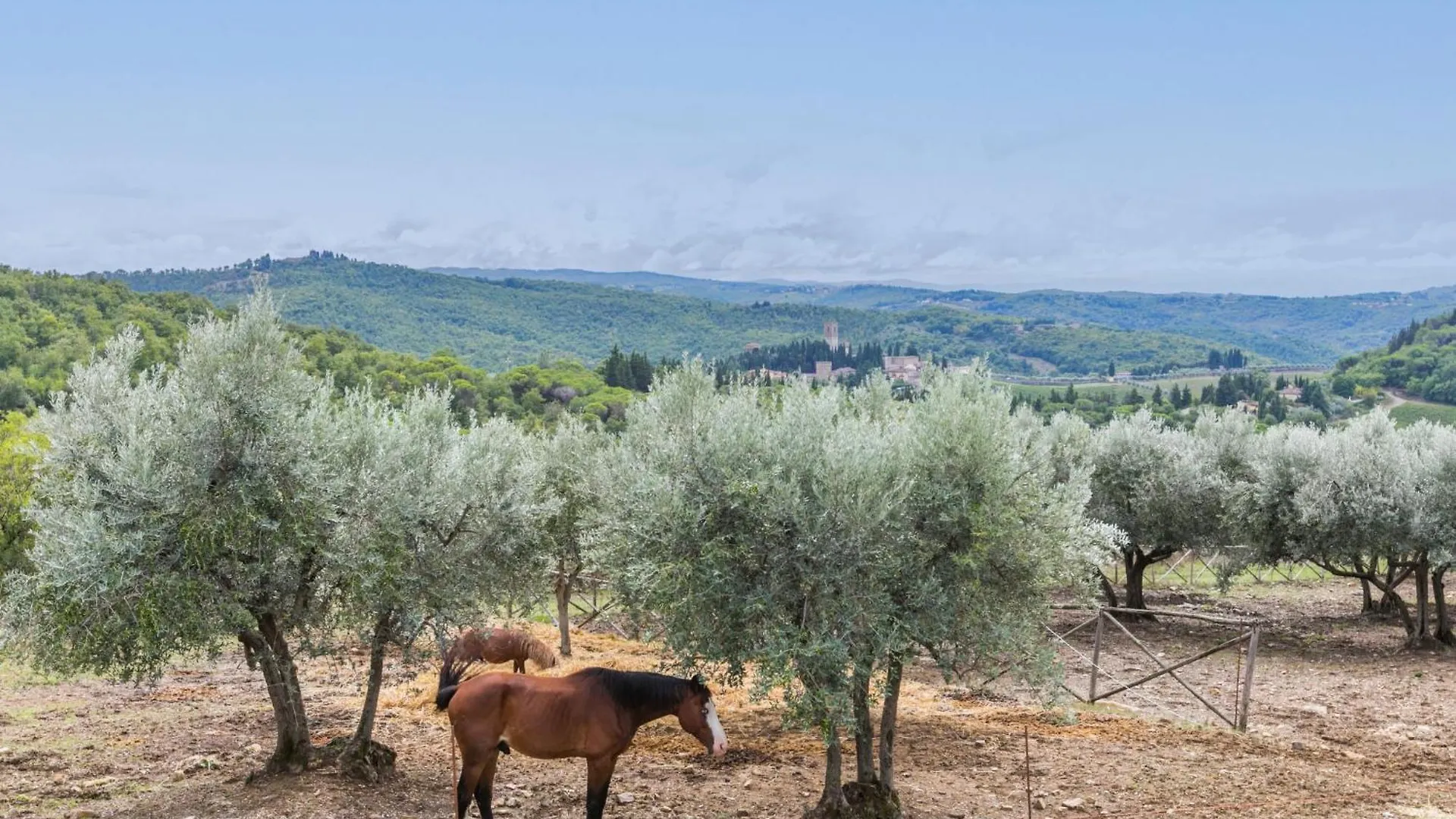 Holiday Home Badia A Passignano-2 By Interhome Badia A Passigano
